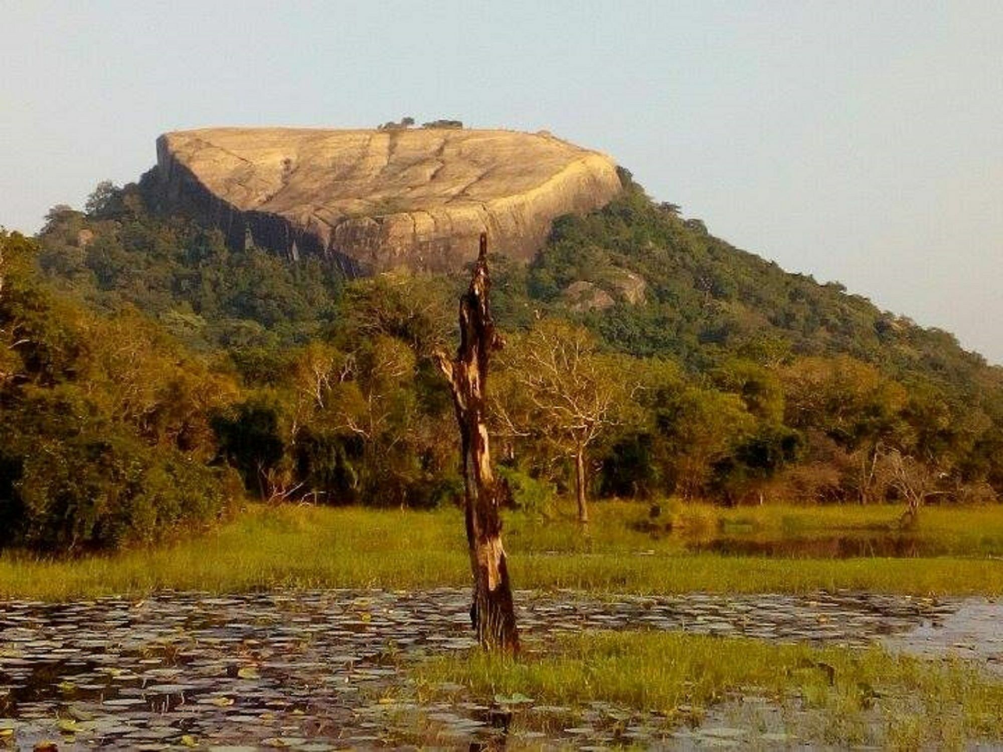 Апартаменты Sigiriya Vee Guest Экстерьер фото